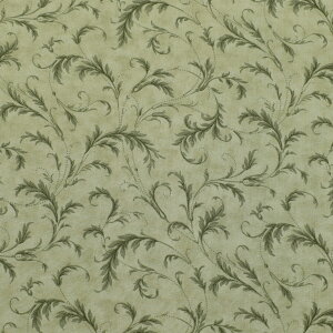 h[EO[@Rbgn@44362@Moda@_@(50cmȏ10cmPʐ؂蔄)