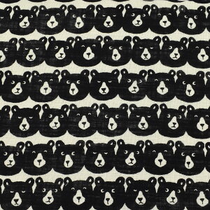 MƃxA@lCNXn@ 850520-1@o@(50cmȏ10cmPʐ؂蔄)