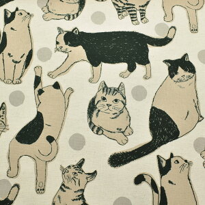 rbOL@ȖLoXn@KTS7110@Rbg΂₵@(50cmȏ10cmPʐ؂蔄)