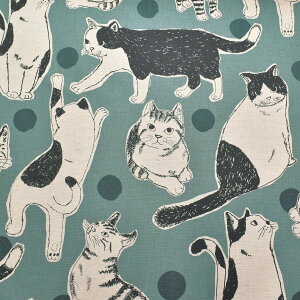 rbOL@ȖLoXn@KTS7110@Rbg΂₵@(50cmȏ10cmPʐ؂蔄)