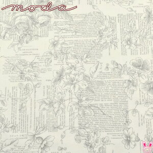 ~[Y@11 ItzCgn@Rbgn@44392-11@Moda@_@(403)@(50cmȏ10cmPʐ؂蔄)