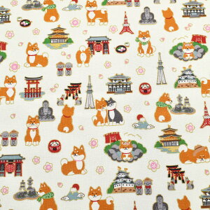 Č̓{߂@V[`On@ AP55802-1@RX@(50cmȏ10cmPʐ؂蔄)