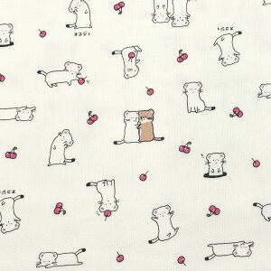 �I�R�W���Ƃ������ځ@�V�[�`���O���n�@ AP55104-2�@�R�X���@(50cm�ȏ�10cm�P�ʐ؂蔄��)