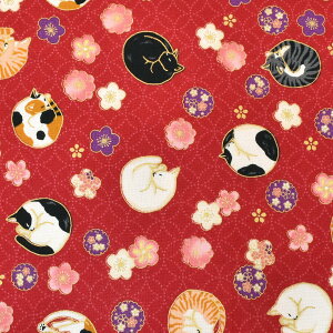 ˂̉Ԗ@V[`On@ HR3550-12@LgQCg@(50cmȏ10cmPʐ؂蔄)