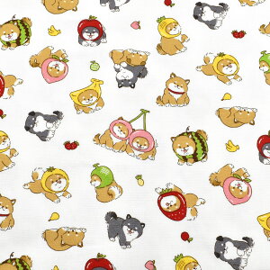 t[cČ@V[`On@ AP55903-1@RX@(50cmȏ10cmPʐ؂蔄)