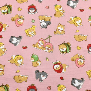 t[cČ@V[`On@ AP55903-1@RX@(50cmȏ10cmPʐ؂蔄)