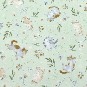 ӂӂɂ񂱃K[f@WK[[n@ AP55205-2@RX@(50cmȏ10cmPʐ؂蔄)