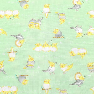 ̂Ȃ悵CR@V[`On@ AP55202-2@RX@(50cmȏ10cmPʐ؂蔄)