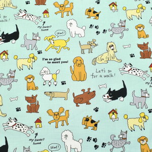 Ƃւ܃R@V[`On@ NN2325-11@RX@(50cmȏ10cmPʐ؂蔄)