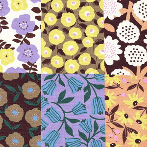 a_ȃpb`[N@60cmPʁ@؂蔄@ojn@99221-1@NBK@plJbg