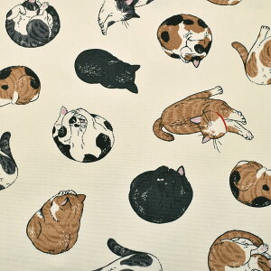 ܂ɂ񂱁@IbNXn@AP61104-1@RX@(50cmȏ10cmPʐ؂蔄)