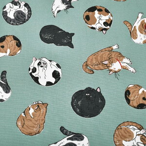 ܂ɂ񂱁@IbNXn@AP61104-1@RX@(50cmȏ10cmPʐ؂蔄)