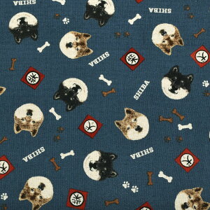 ČXebJ[@ȖLoXn@ KTS7132@Rbg΂₵@(50cmȏ10cmPʐ؂蔄)