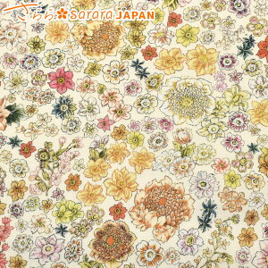 AeB[Nu[P@A ItzCgn@V[`On@DPJ-154-A@@i227j@ (50cmȏ10cmPʐ؂蔄)@m݌Ɍn