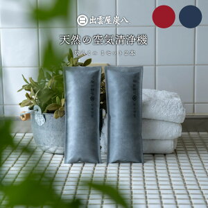 炭八 湿気取り 除湿 脱臭 消臭 除湿対策 湿気対策 炭八ミニ 靴 くつ 臭い 下駄箱 部屋 クローゼット 梅雨対策 ス