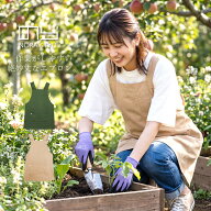 のらスタイル エプロン 多収納 レディース 農業女子 ガーデニング アウトドア カフェ 園芸 家事 農作業 …