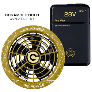 obe[ `Eobe[ t@ Zbg _uo GB428PD GF1 }[d GB-POWER MWp 15ۏ dt@Ήobe[ 󒲃EFAΉ 28V lIZLBeB x