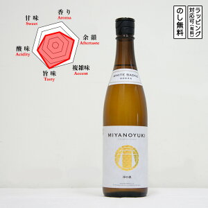 yXz{̐ zCgobW Rpd ʏ  _̕ { 720@Miyanoyuki Kaminoho WHITE BADGE @(Od^{{X)