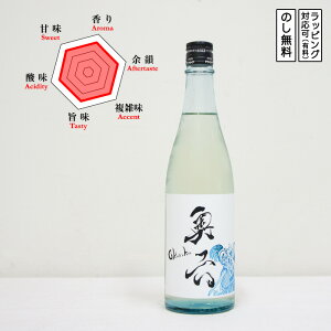 Z { ʏ Rp Turtle T̔ 720@Okuroku ^[g 낭@(茧^)@Mtg v[g ̂