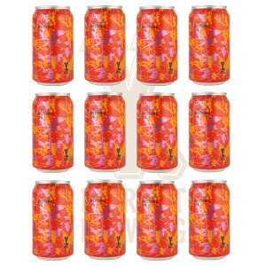 Hysteric IPA 370ml×12ʁ@C}[Pbg Ntgr[ qXebNIPA@(m^Y.MARKET BREWING)@Mtg v[g ̂