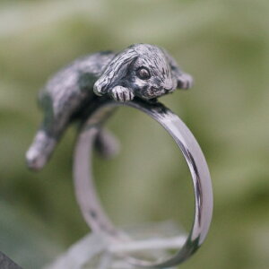 naturama(i`}) E̓bvC[̃O [AR74] fB[X  O ANZT[  Sp A}[c AramaRoots  nhCh WG[ w l 킢 