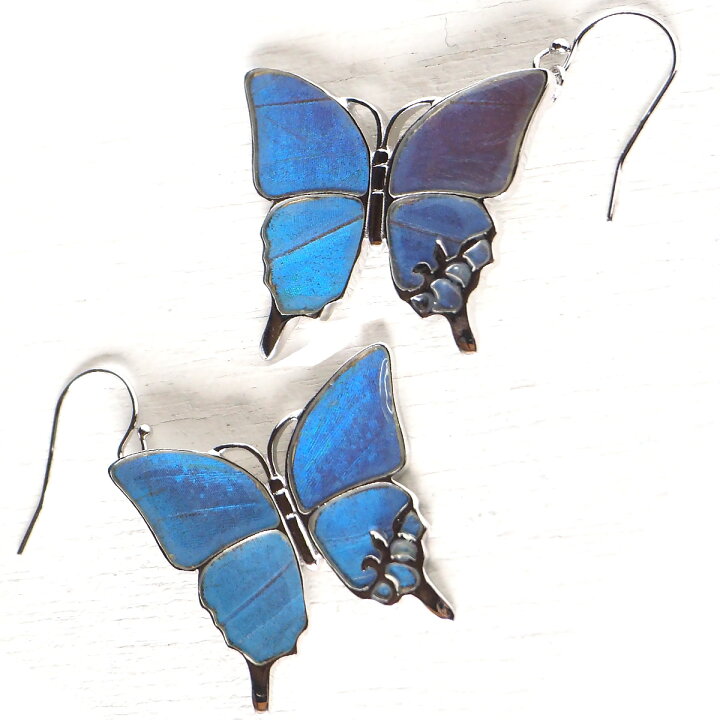楽天市場 Naturama ナチュラマ ブルーモルフォ蝶のピアス シルバー L 2個セット Na03by Ag アクセサリー作家 加藤心姿さんの手作りアクセサリー ハンドメイドジュエリー 揺れる 美しい 青 ブルー ちょうちょ 日本製 国産 クラフトカフェ