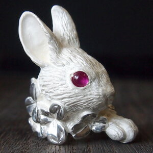 DECOvienyaifRB[jj ANZT[ 傫ȃETMƃN[o[O zCg [DE-093W] Vo[ nhCh ANZT[ WG[  Aj} w I  