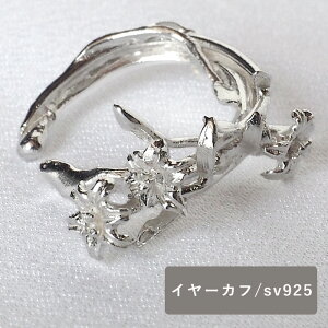 DECOvienyaifRB[jj ANZT[ ̃C[Jt Vo[925 Ў fB[X [DE-165S] C[JtX CJt Ўp ANZT[ nhCh ANZT[ W