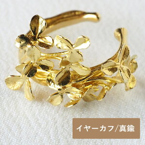 DECOvienya (fRB[j) N[o[ C[Jt ^J Ў fB[X [DE-166G] C[JtX CJt Ўp ANZT[ nhCh ANZT[ WG[ Ԃ N[o