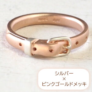 small rightiX[Cgj ANZT[ xgO cute Vo[×sNS[hbL 2.7mm }bgdグ [SR-RG-10-MAT] ANZT[ rG ~j`A nhCh WG