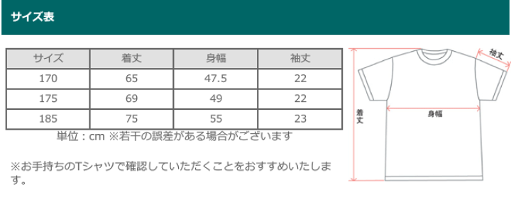 草木染め 京都 tezomeya 手染め屋 チュニック ワンピース 憲法黒色 草木染めの天然色工房 tezomeya - オーガニックコットン Tシャツ