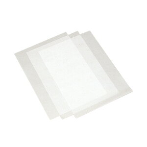 g[VOy[p[B4(257mm×364mm)10 / ċx HLbg RH R  H wN wN wZ Cxg ʍw