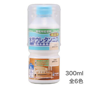 E^jX (300ml) / L̏ȂAHiq@K̊ΉjX ؐƋE؍HHEؒEؐip