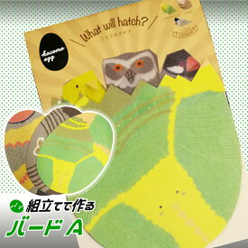 楽天市場 ダンボール 中学生 おもちゃ の通販