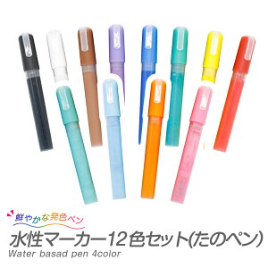 }[J[ ̃y 12FZbg KX ؍  }WbN TCy s CN