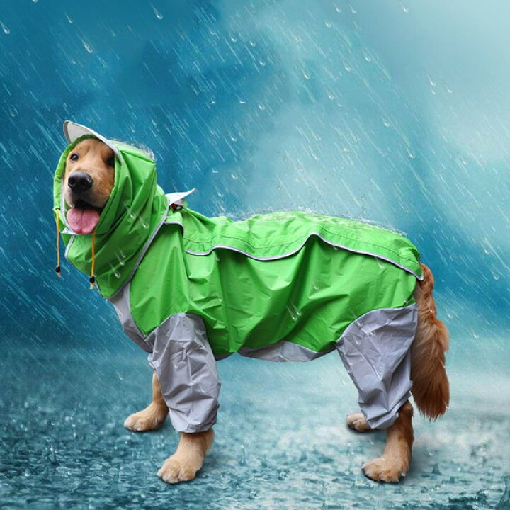 楽天市場 大型犬 レインコート 中型 犬 ポンチョ カッパ 雨 梅雨 防寒 散歩 グッズ おすすめ 夏 かわいい プレゼント 男の子 女の子 可愛い セール おしゃれ 旅行 お出かけ キャンプ ハイキング 山登り 人気 安い 便利 大きいサイズ ゴールデン ラブラドール バーニーズ 楽天市場 大型犬 レインコート 中型 犬 ポンチョ カッパ 雨 梅雨 防寒 散歩 グッズ おすすめ 夏 かわいい プレゼント 男の子 女の子 可愛い セール おしゃれ 旅行 お出かけ キャンプ ハイキング 山登り 人気 安い 便利 大きいサイズ ゴールデン ラブラドール バーニーズ