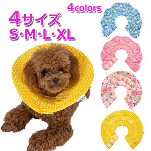 yN[|1422~{|Cgő21{zyz \tg GUxXJ[ ԕ  _炩 p J[ L GUxX  p   r h~ ی PA GJ 킢