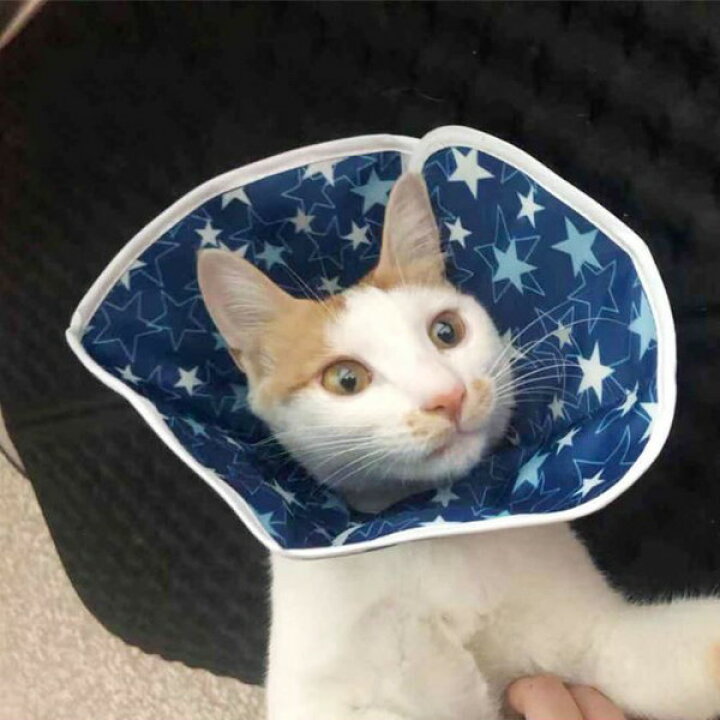 楽天市場 犬 撥水 エリザベスカラー やわらかい 犬用 カラー ソフト 猫 エリザベス 怪我 術後 傷口 舐め 防止 保護 エリカラ コンパクト 収納 安い 軽量 抗菌 手術 皮膚病 炎症 対策 男の子 女の子 セール 便利 おすすめ 夏 お得