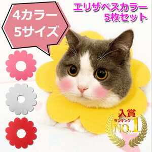 yN[|1332~{|Cgő37{zyyV1ʊlzyzL \tg GUxXJ[ tFg 炩 Lp J[ 5Zbg  ˂ GUxX  p  r h~ 