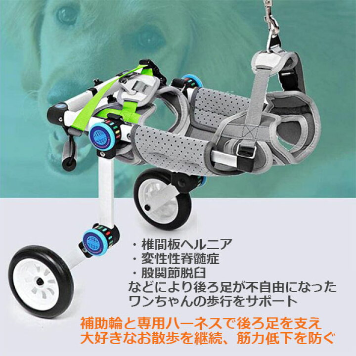 楽天市場】【いま商品ポイント3倍中＋ポイント最大29倍】【送料無料 