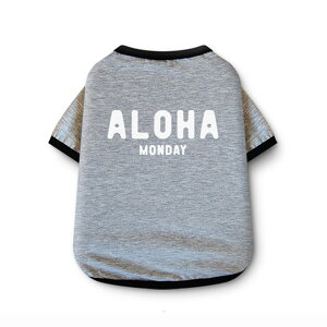 yN[|1596~{|Cgő21{zyyV1ʊlzy]r[zyz An t  T[t tVc  ` gCv[ hbOEFA Z[ hbO EFA   