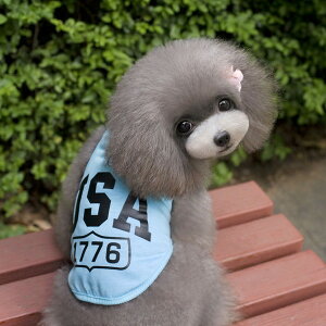 yN[|800~{|Cgő21{zyyV1ʊlzyz^Ngbv  USA S  i pW} ё΍    ` gCv[ hbOEFA hbO EF