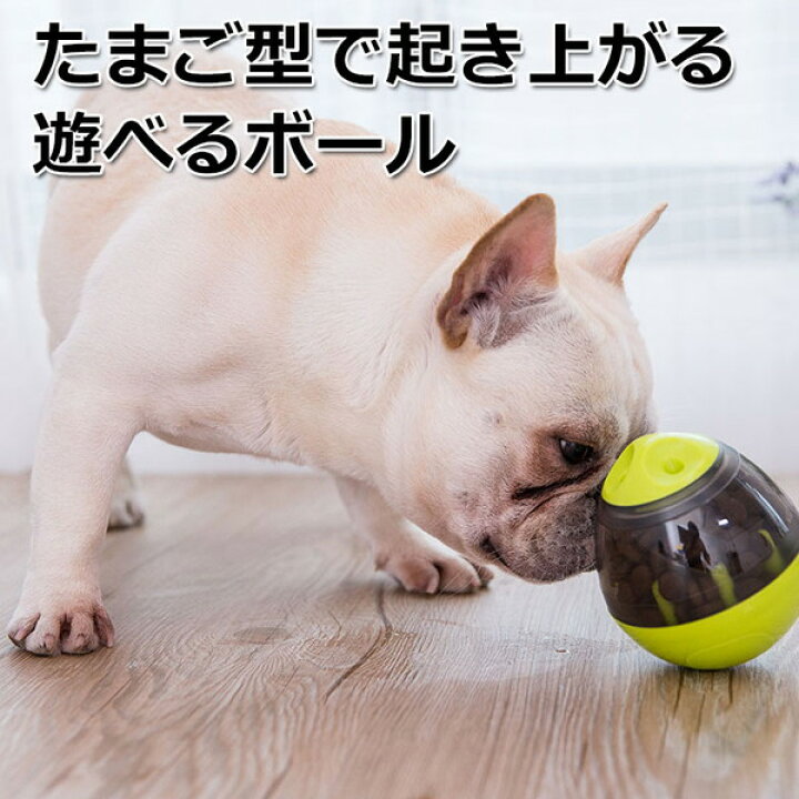年中無休 犬 おもちゃ ボール 噛む 餌入れ おやつ 知育 運動不足解消 ダイエット トレーニング 送料無料 Shipsctc Org