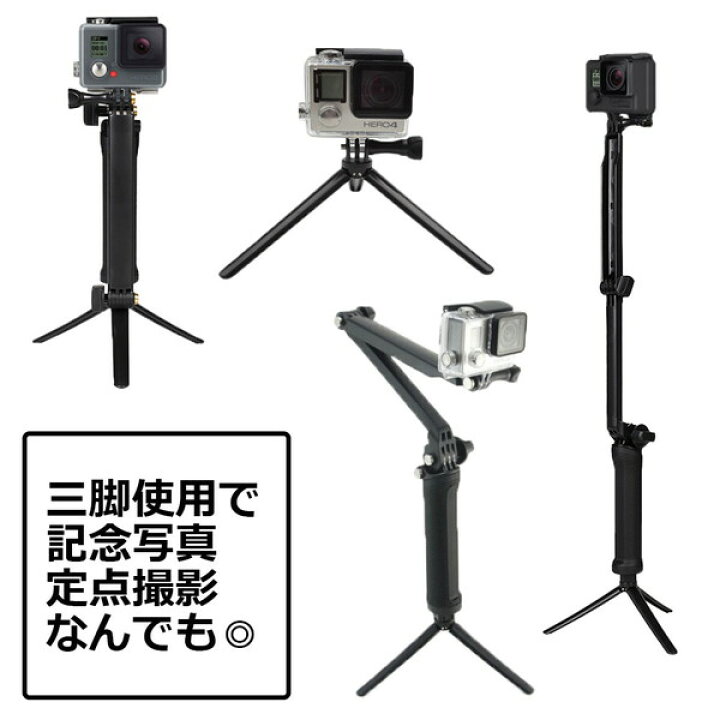 楽天市場】【100円引クーポン配布中＋ポイント最大18倍】【楽天1位獲得  