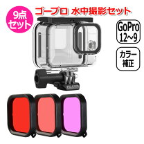 楽天市場】gopro10 本体の通販