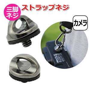 yzJ ANZT[ XgbvlW ׃lW 1/4 C` fW^J ANVJ EFAuJ fWJ A_v^[ }` Œ \ J h~ y 