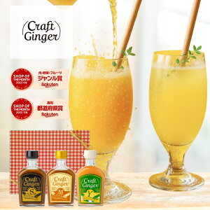 y|Cg5{z yMtg z_^ WW[Vbv ݔ Zbg Craft Ginger SEMEY 200ml x 3{Zbg p Y Y IVbv I 傤 WW[G[
