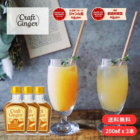 ＼まとめ買い／ Craft Ginger M 200ml×3 送料無料 ジンジャーシロップ 瓶入り 国産 無添加 無着色 生姜シロップ 簡単 希釈 炭酸 ジンジャーエール クラフトジンジャー しょうが ショウガ 生姜湯 温活 おうち時間 おうちカフェ