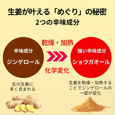めぐりの秘密