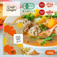 生姜パウダー オーガニック 100g 有機JAS認証 無添加 ジンジャーパウダー 有機生姜パウダー 生姜粉末 し…